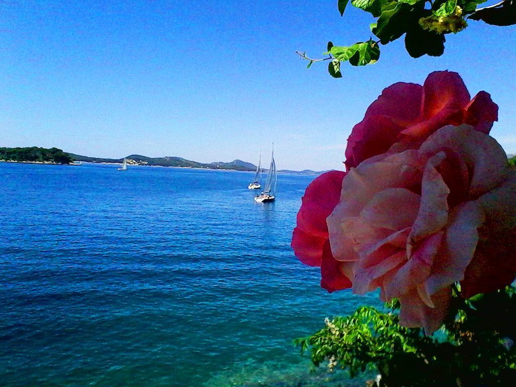 Appartement Sea Of Eden à Dubrovnik Extérieur photo